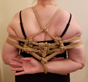 shibari rope bondage tie